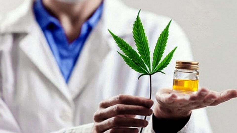 Chubut habilitó la venta de flores de cannabis medicinal en farmacias